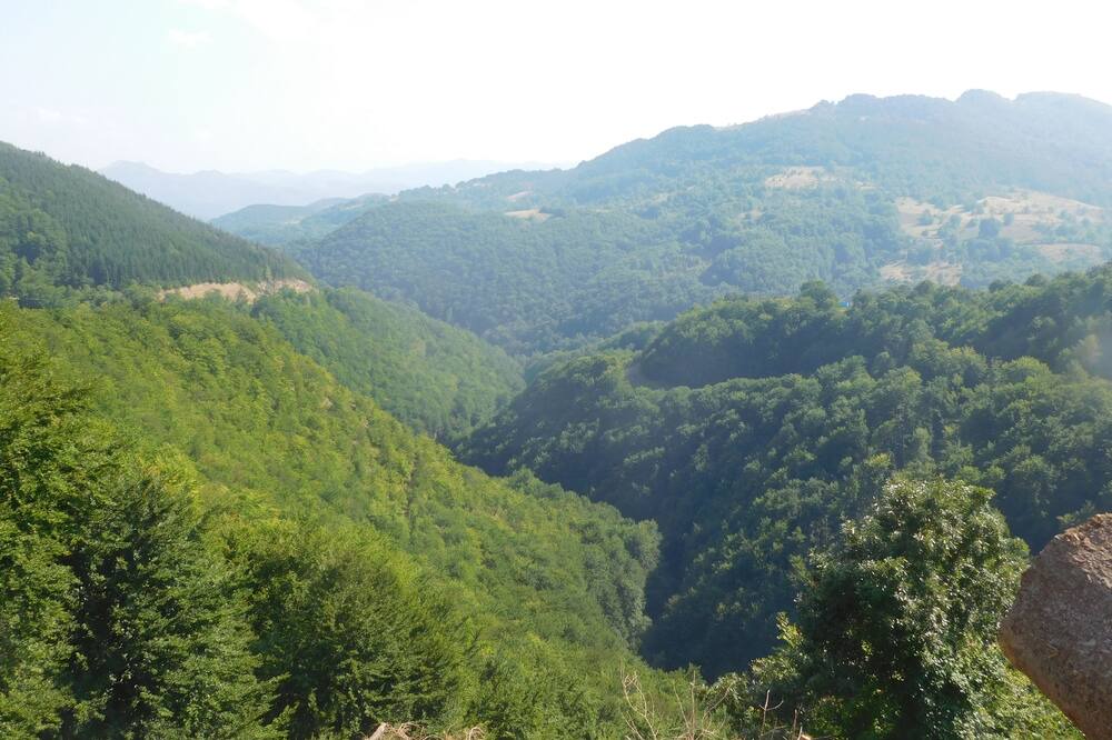 Photo of Outdoor in Kopaonik