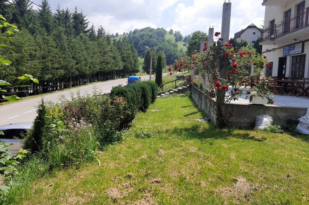 Photo of Outdoor in Kopaonik