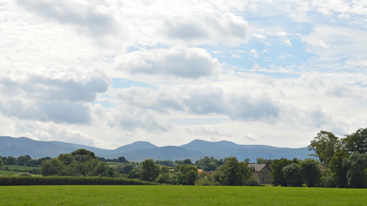 Photo of Others in Rathfriland