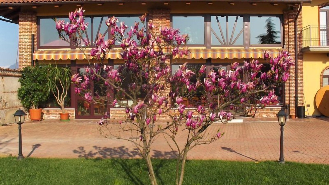 Photo of Outdoor in Volvera