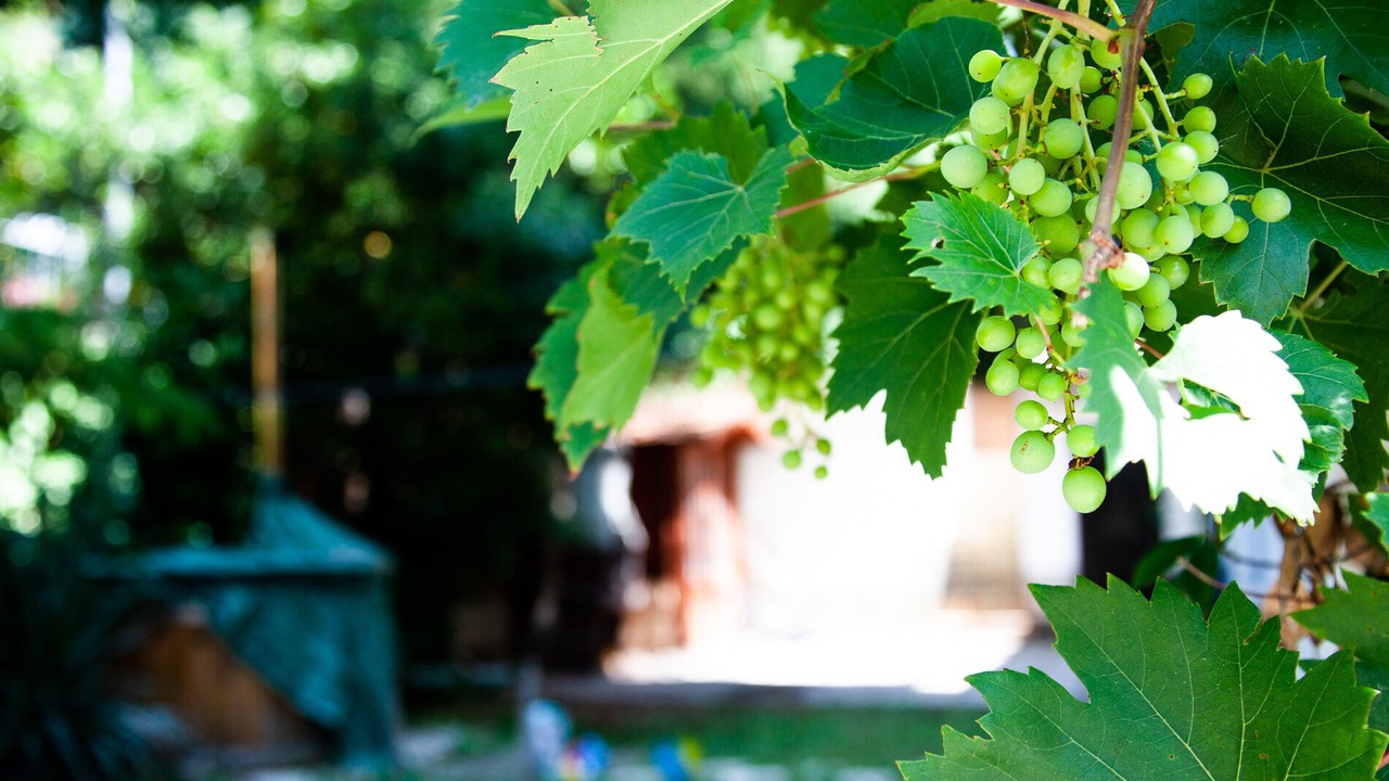 Photo of Outdoor in Monte Grimano Terme