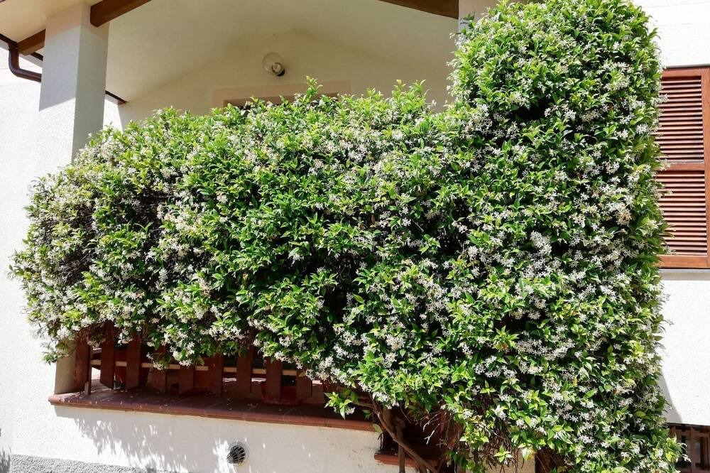 Photo of Outdoor in Bovara