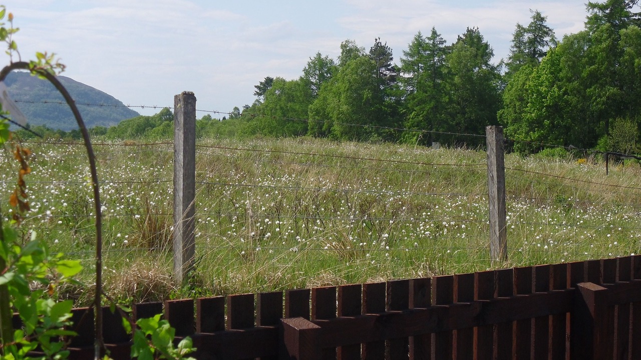 Photo of Outdoor in Torlundy