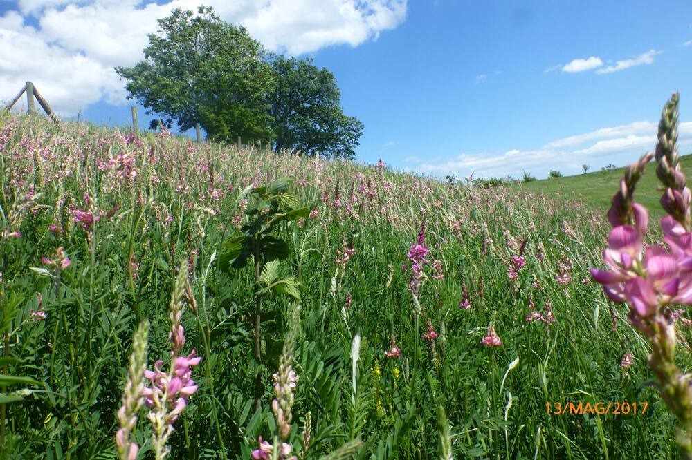 Photo of Outdoor in San Severino Marche