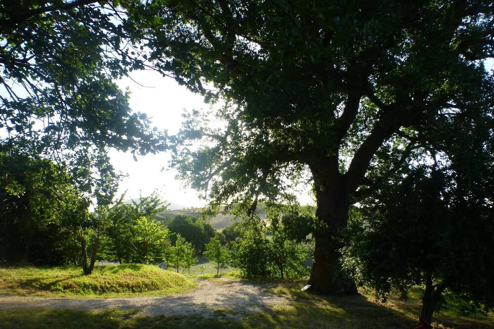 Photo of Outdoor in San Severino Marche