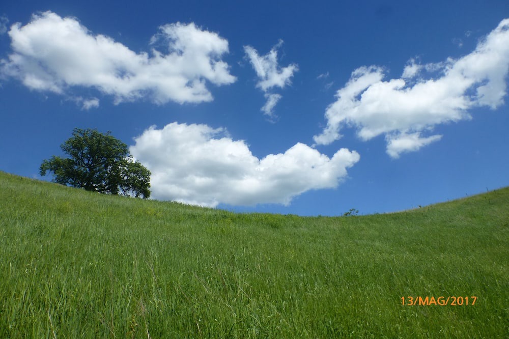 Photo of Outdoor in San Severino Marche