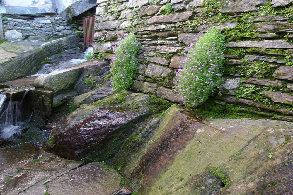 Photo of Outdoor in Spoccia