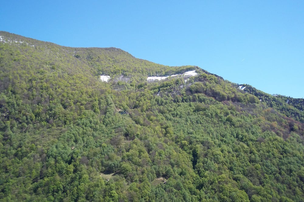 Photo of Outdoor in Spoccia