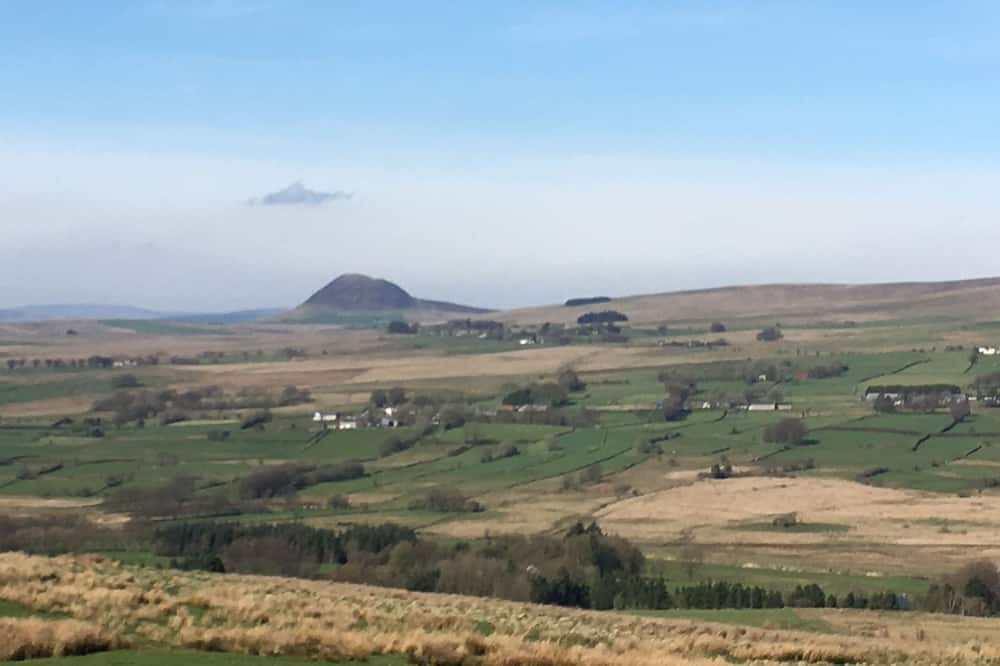 Photo of Others in Larne