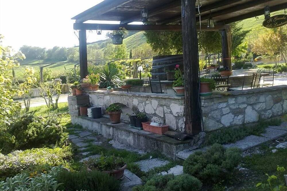 Photo of Outdoor in Pergola