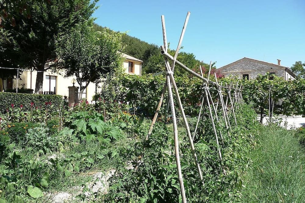 Photo of Outdoor in Pergola