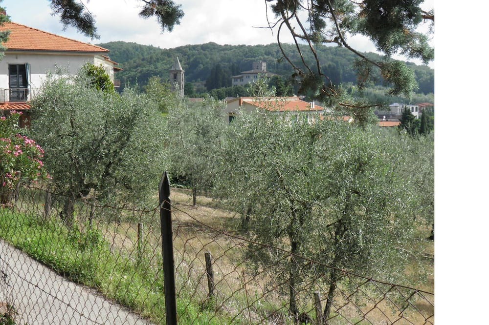 Photo of Outdoor in San Donato in Collina