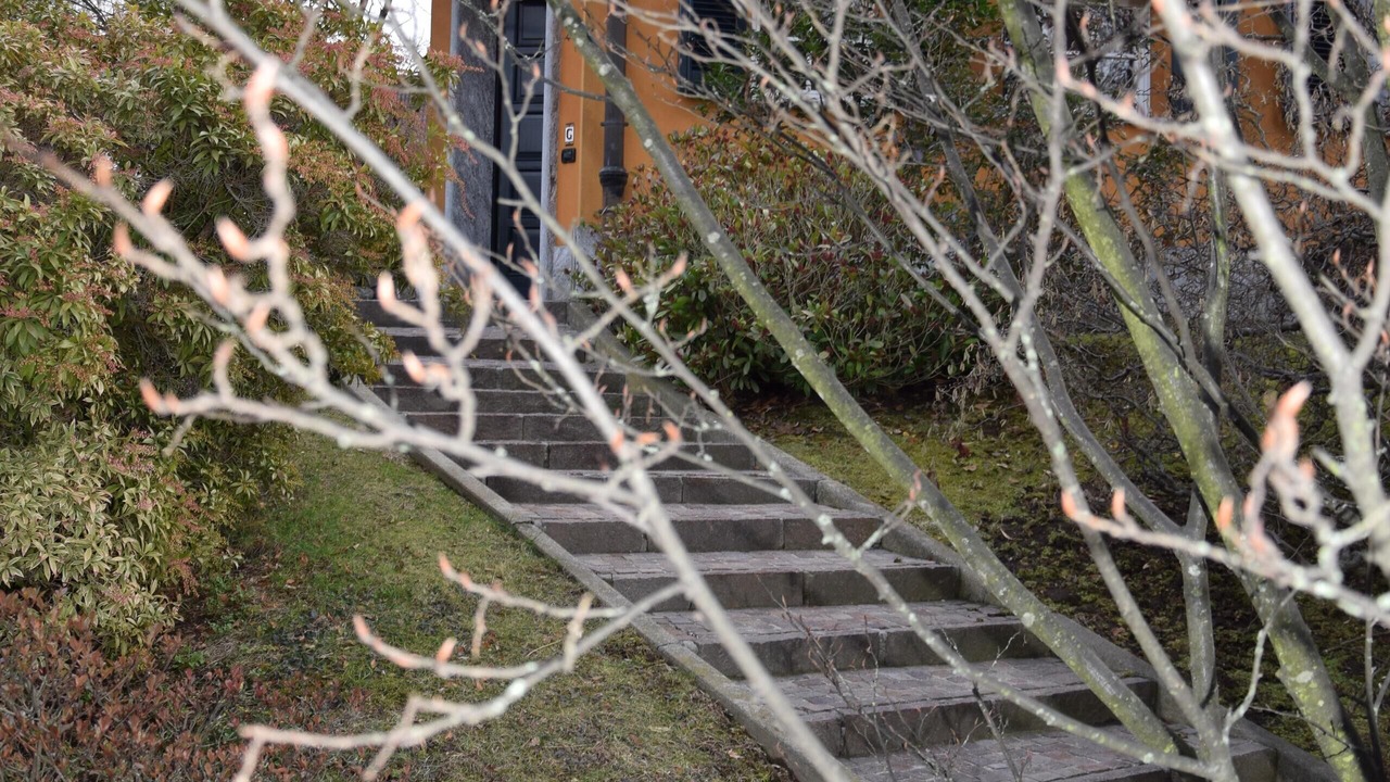 Photo of Outdoor in Agrate Conturbia