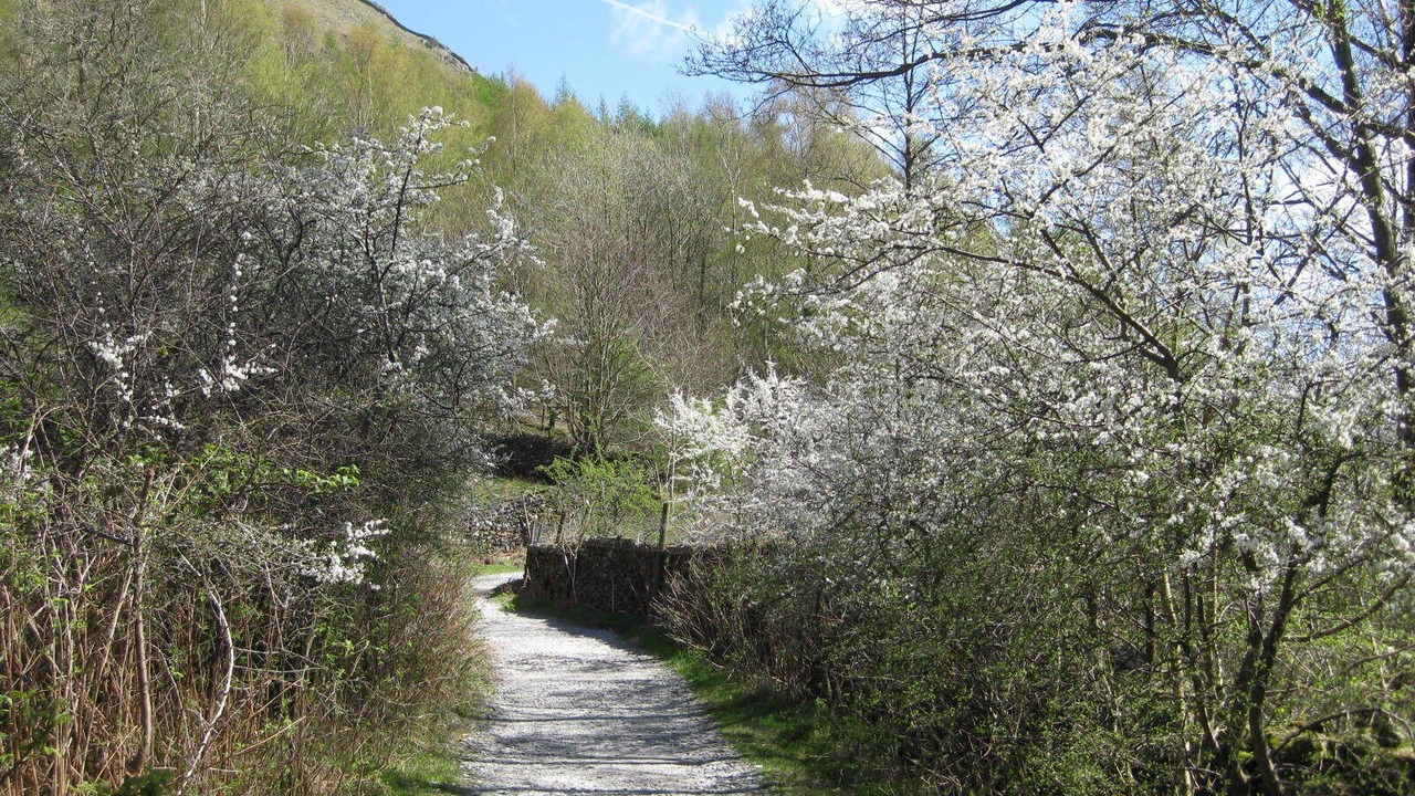 Photo of Outdoor in Grasmere