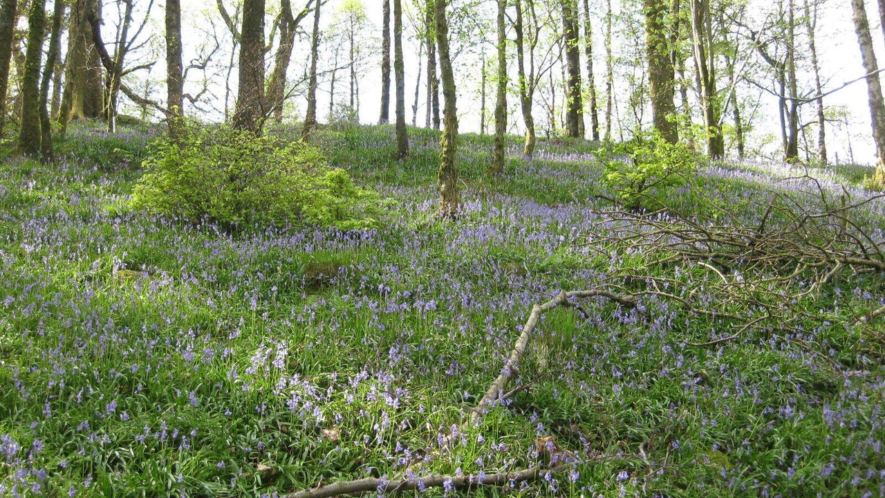 Photo of Outdoor in Grasmere