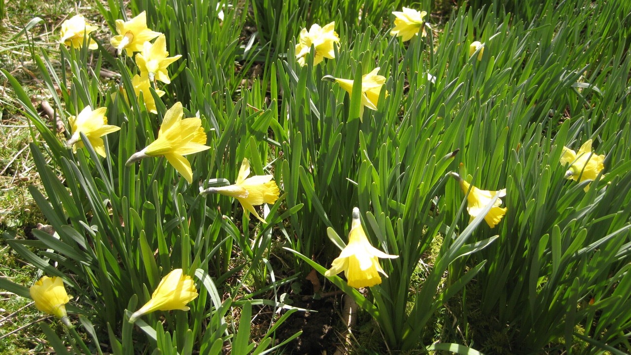 Photo of Outdoor in Grasmere