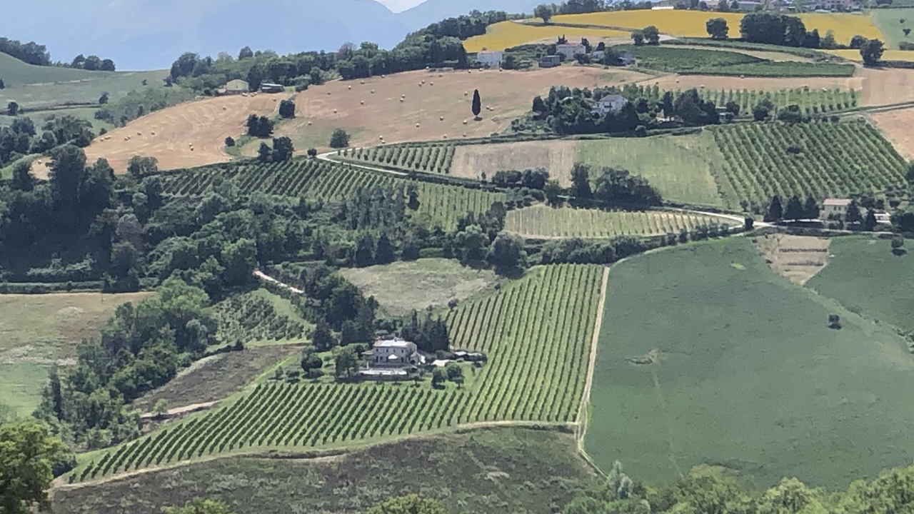Photo of Outdoor in Montelparo