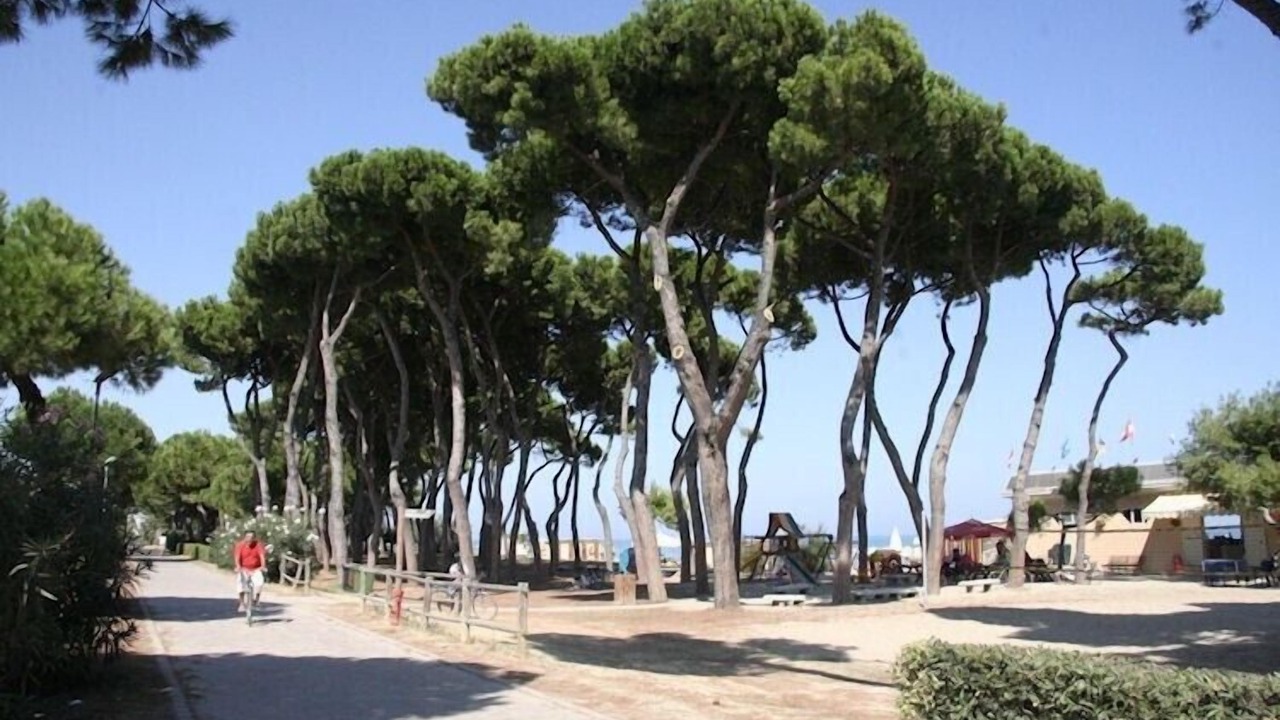 Photo of Others in Marciano