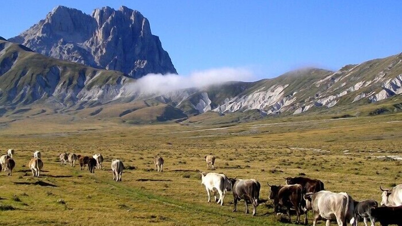 Photo of Outdoor in Marciano