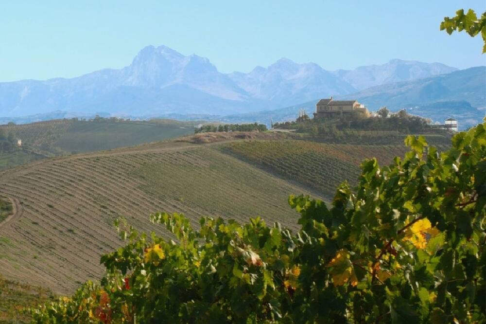 Photo of Outdoor in San Savino