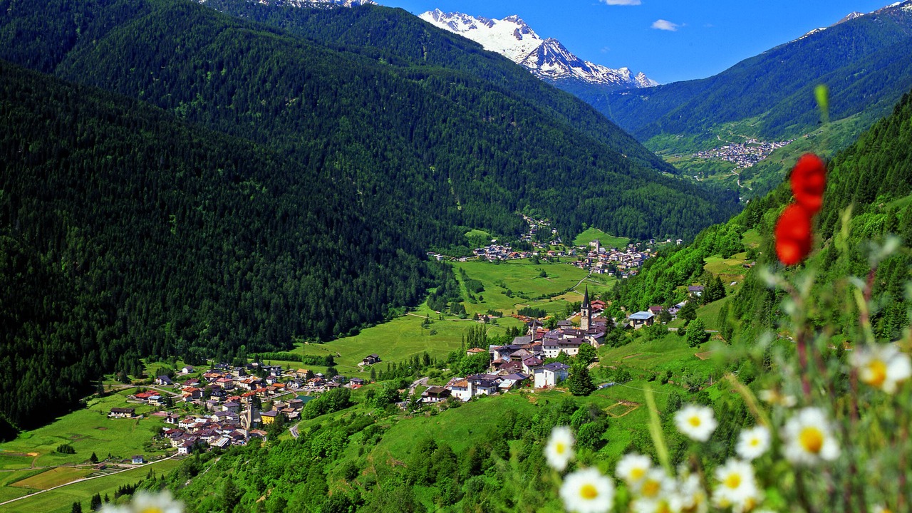 Photo of Outdoor in Cogolo
