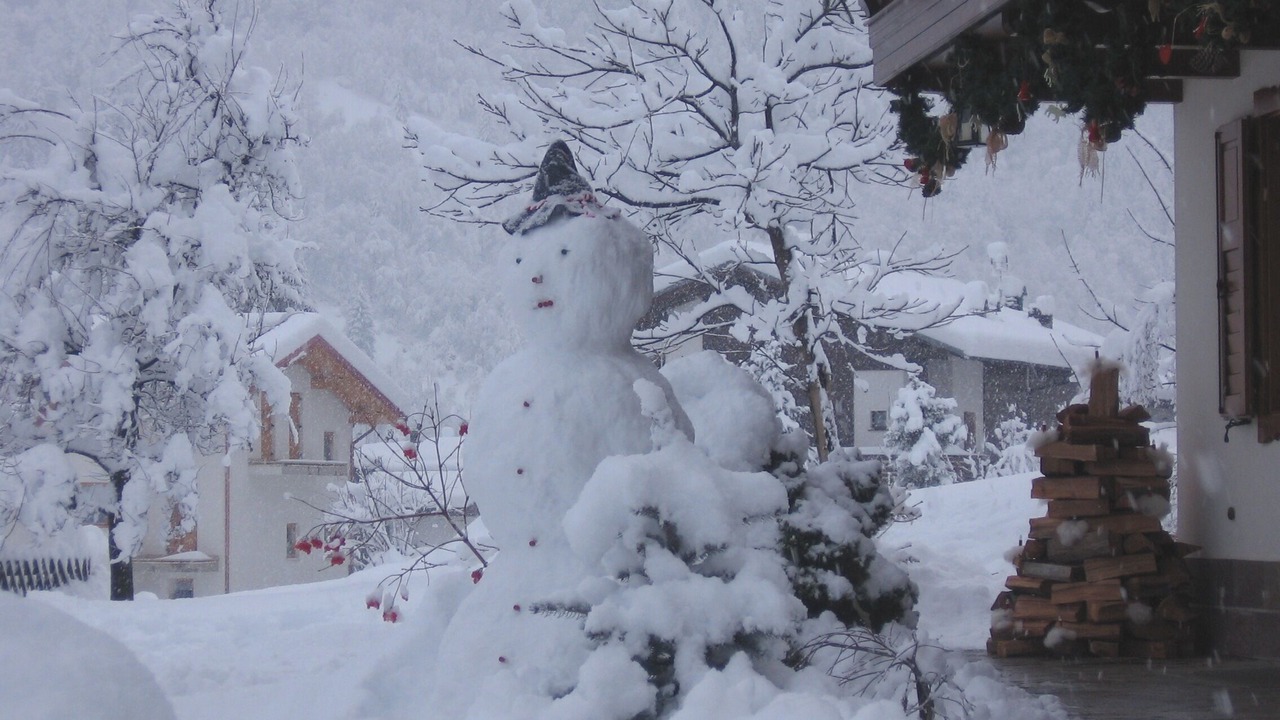 Photo of Outdoor in Cogolo