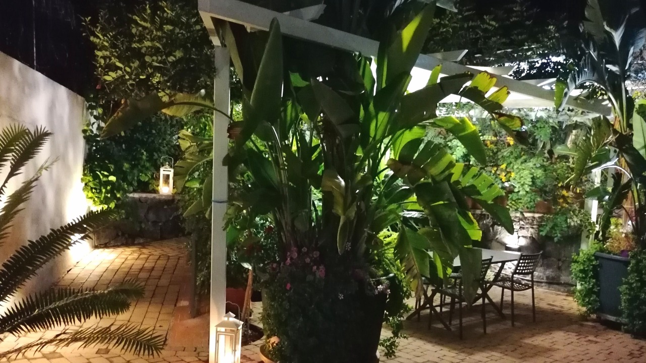 Photo of Outdoor in Cibali