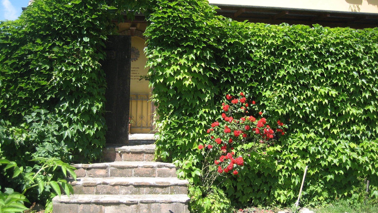 Photo of Outdoor in Castiglione Messer Raimondo