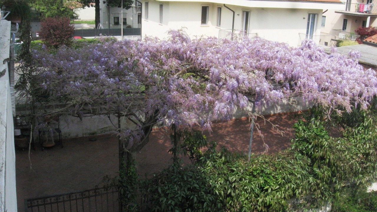 Photo of Outdoor in Vicenza