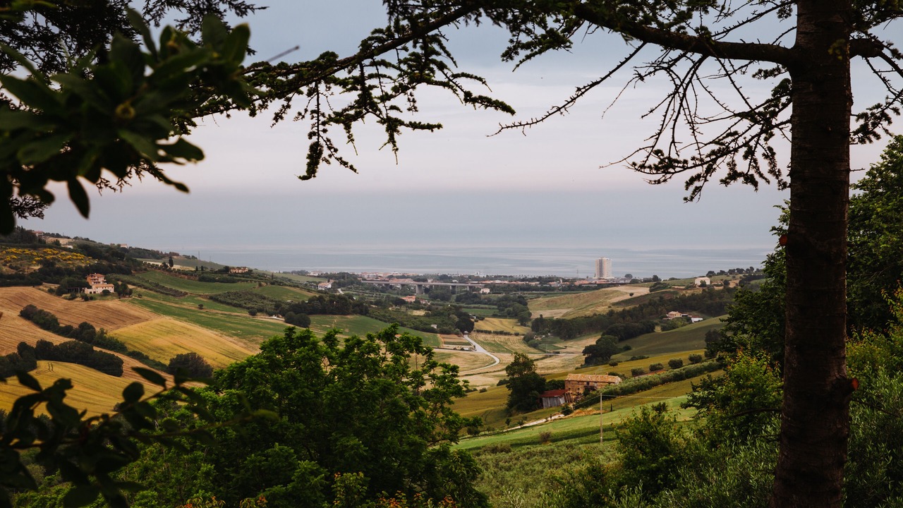 Photo of Outdoor in Capodarco