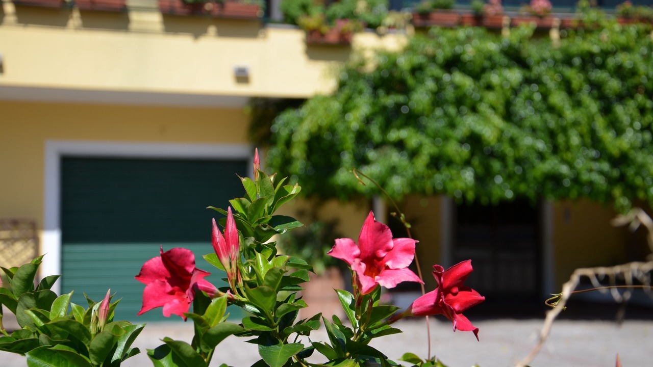 Photo of Outdoor in Agropoli
