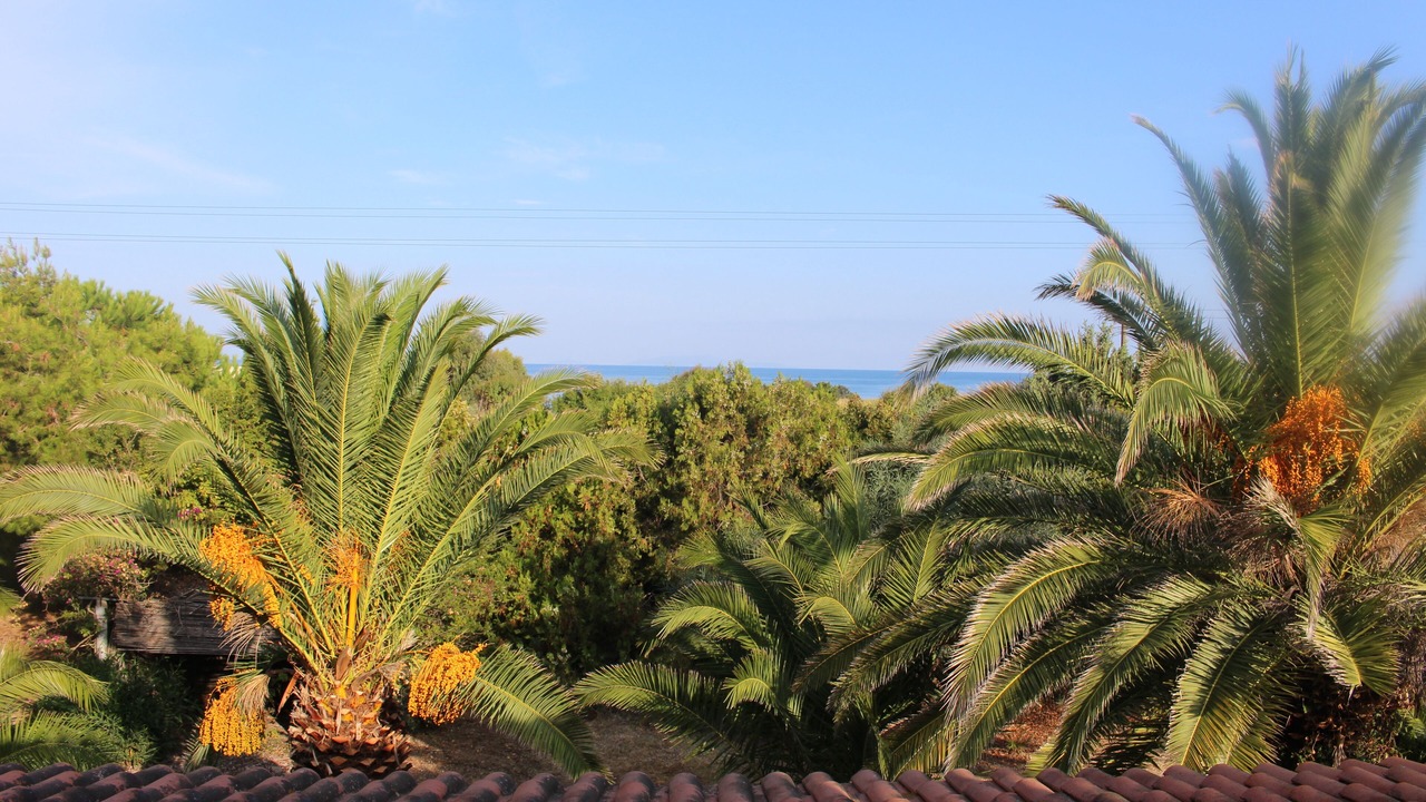 Photo of Outdoor in Sorso