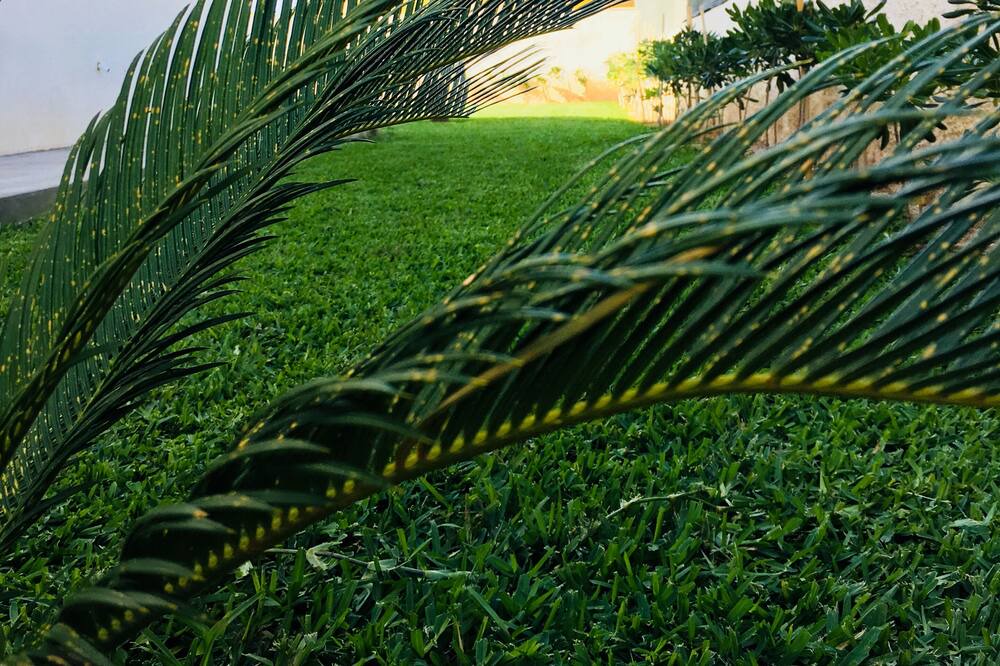 Photo of Outdoor in Avola