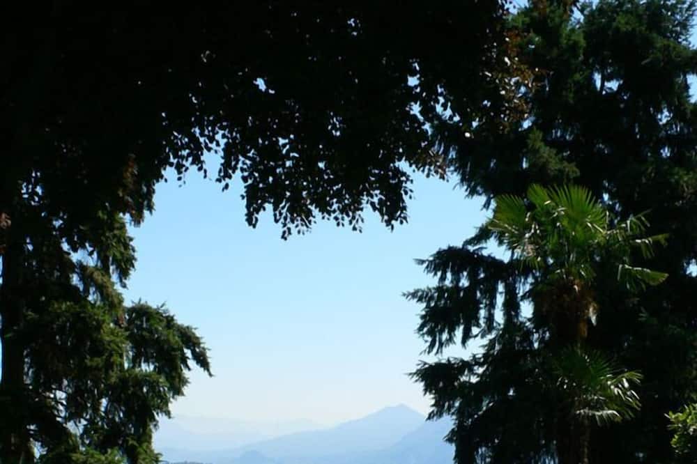 Photo of Outdoor in Carciano