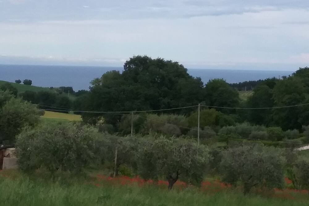 Photo of Outdoor in Grottammare