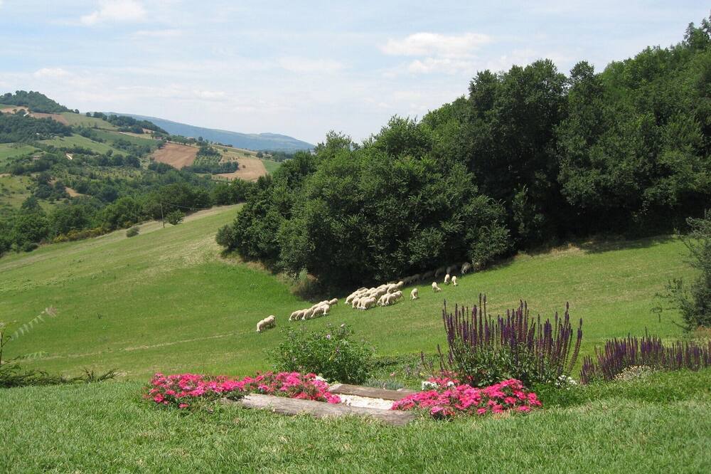 Photo of Others in Santa Maria d'Alto Cielo