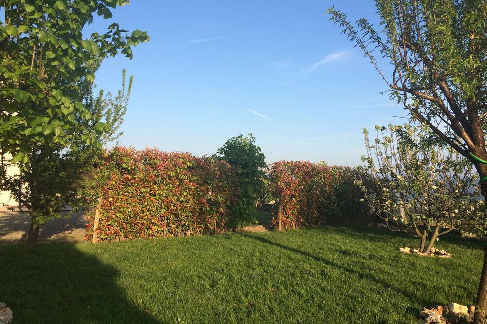 Photo of Outdoor in Montabone
