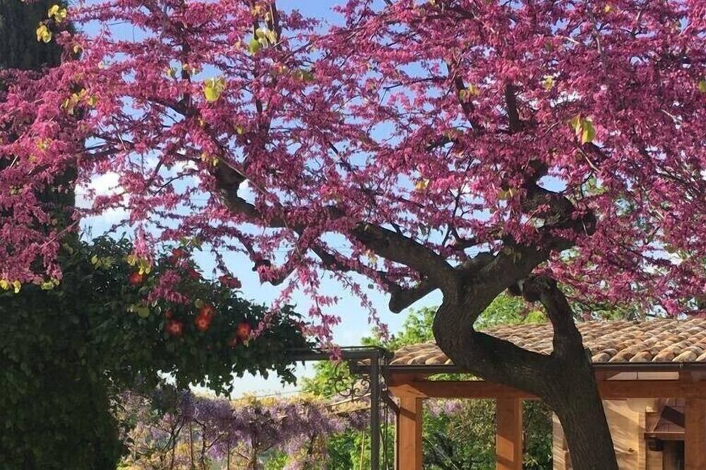 Photo of Outdoor in San Savino