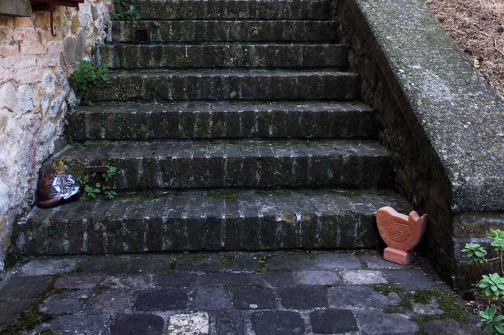 Photo of Others in Verucchio