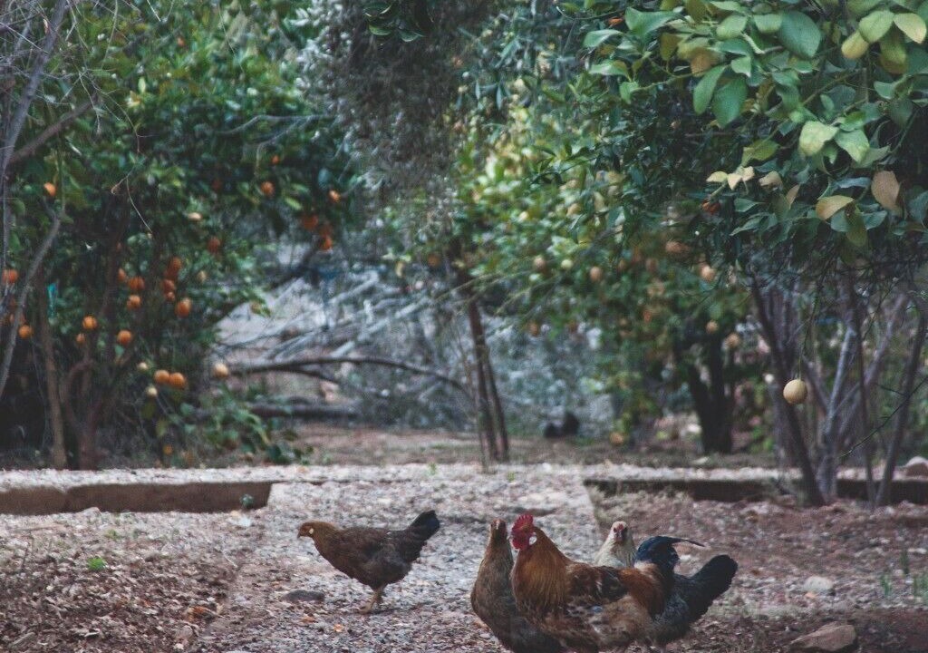 Photo of Outdoor in Ammelne