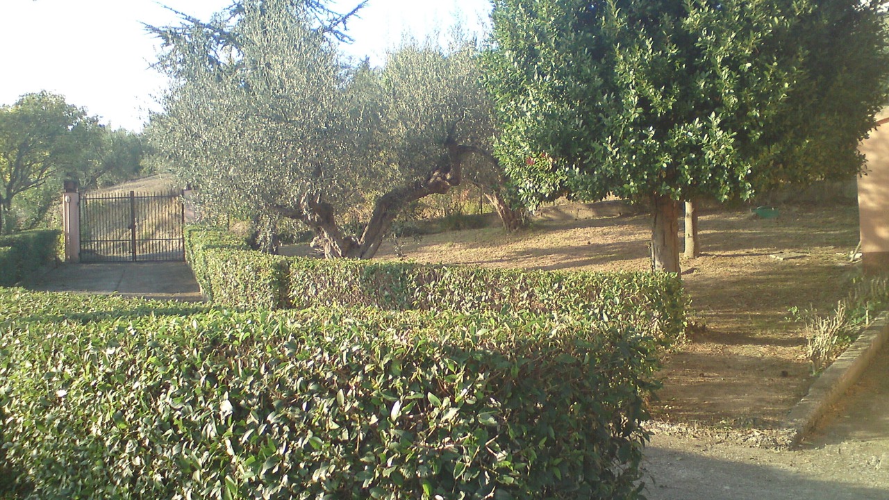 Photo of Outdoor in Elice