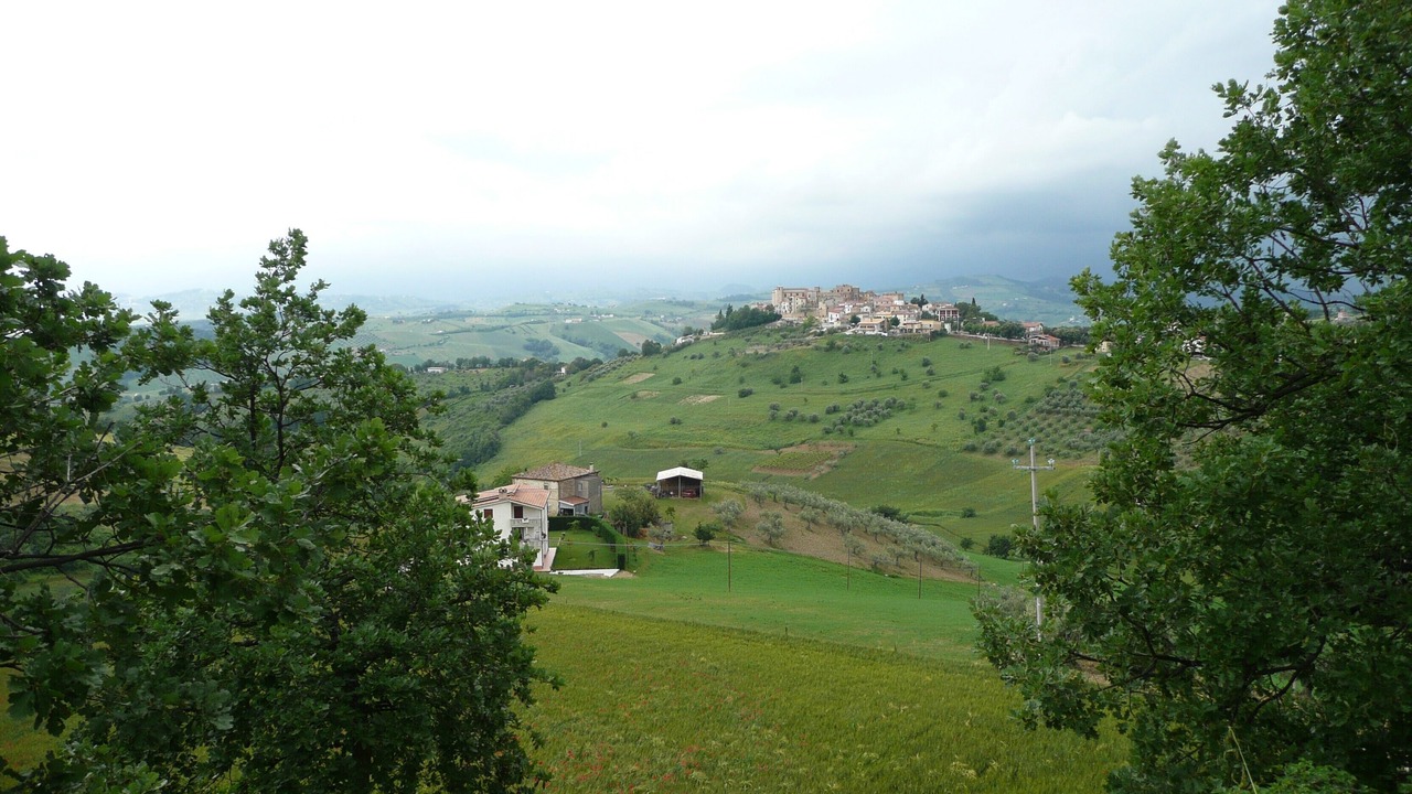 Photo of Others in Elice
