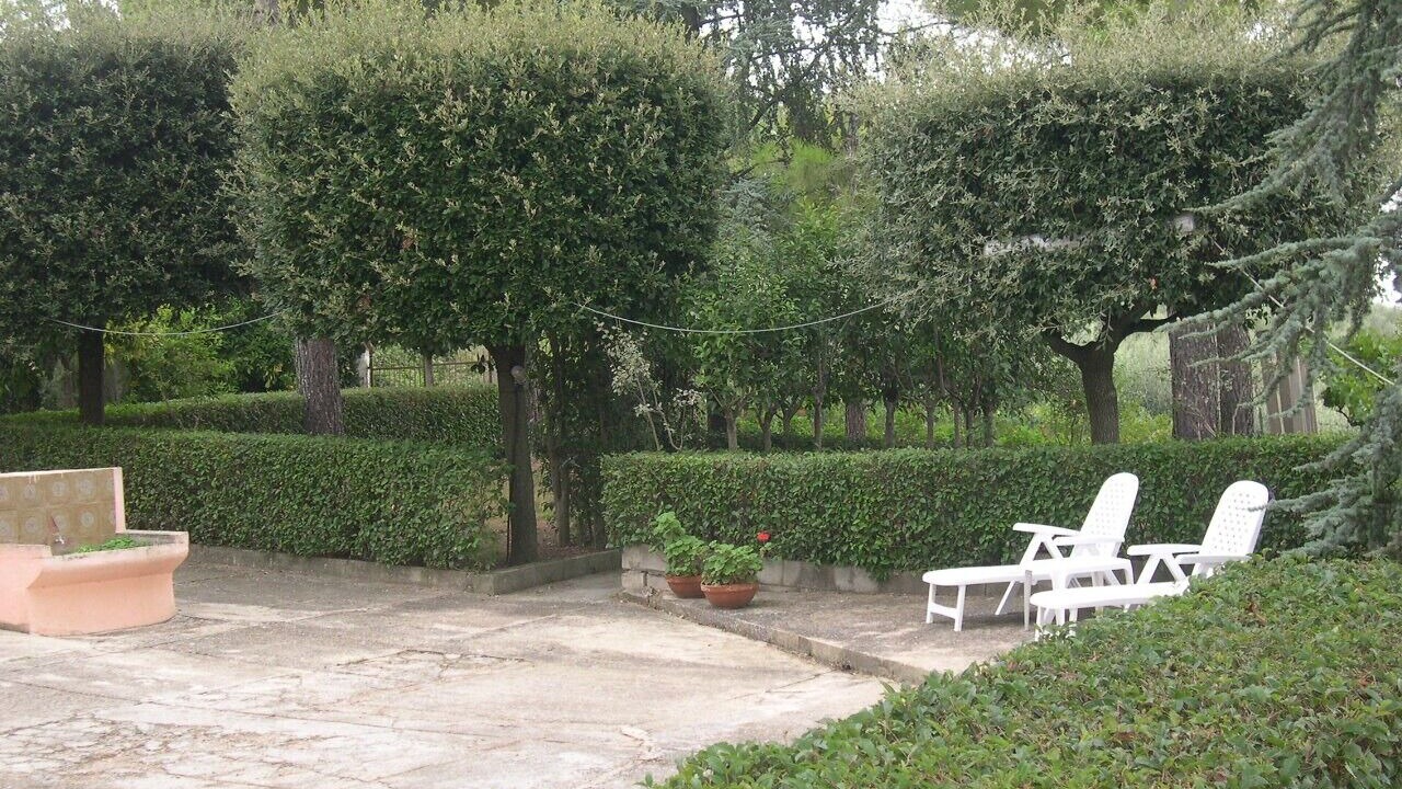 Photo of Outdoor in Elice