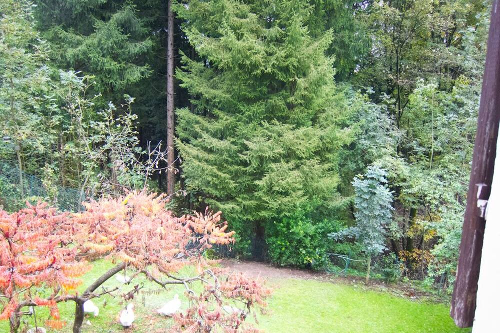 Photo of Outdoor in Alta Valle Intelvi