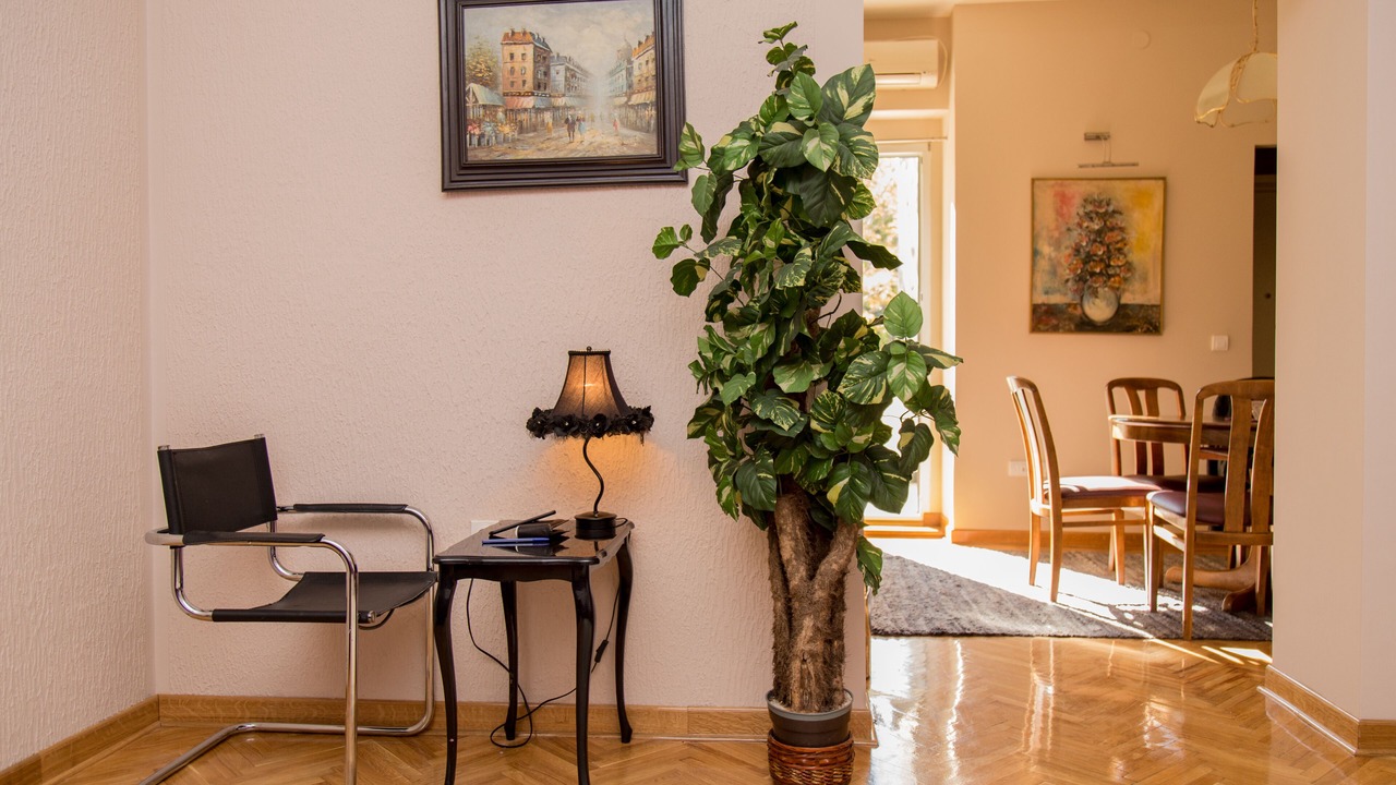 Photo of Livingroom in Slavija