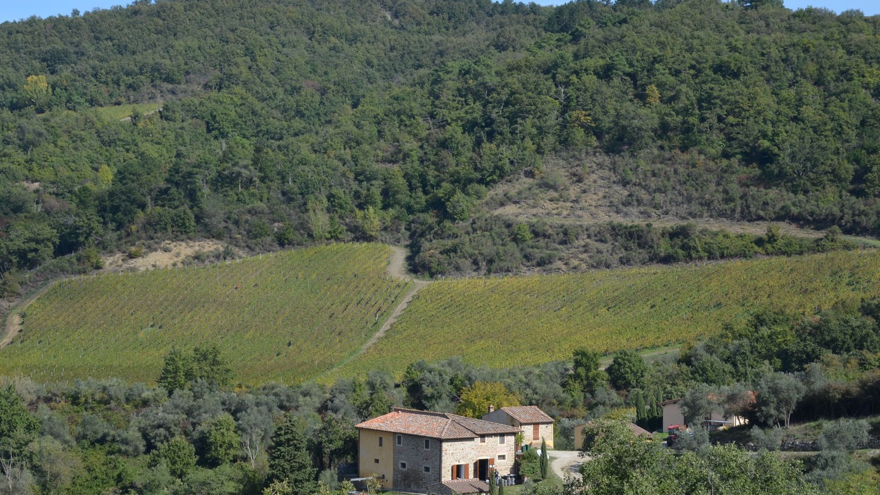 Photo of Outdoor in Greve in Chianti