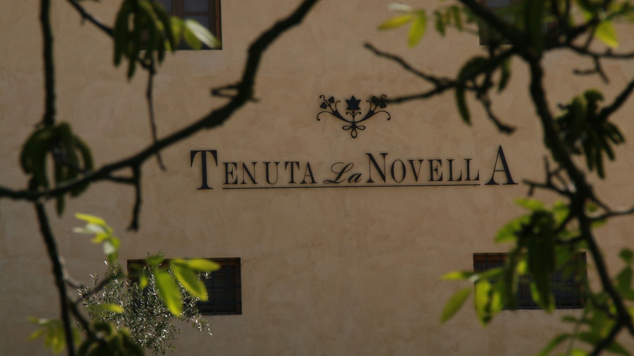 Photo of Outdoor in Greve in Chianti