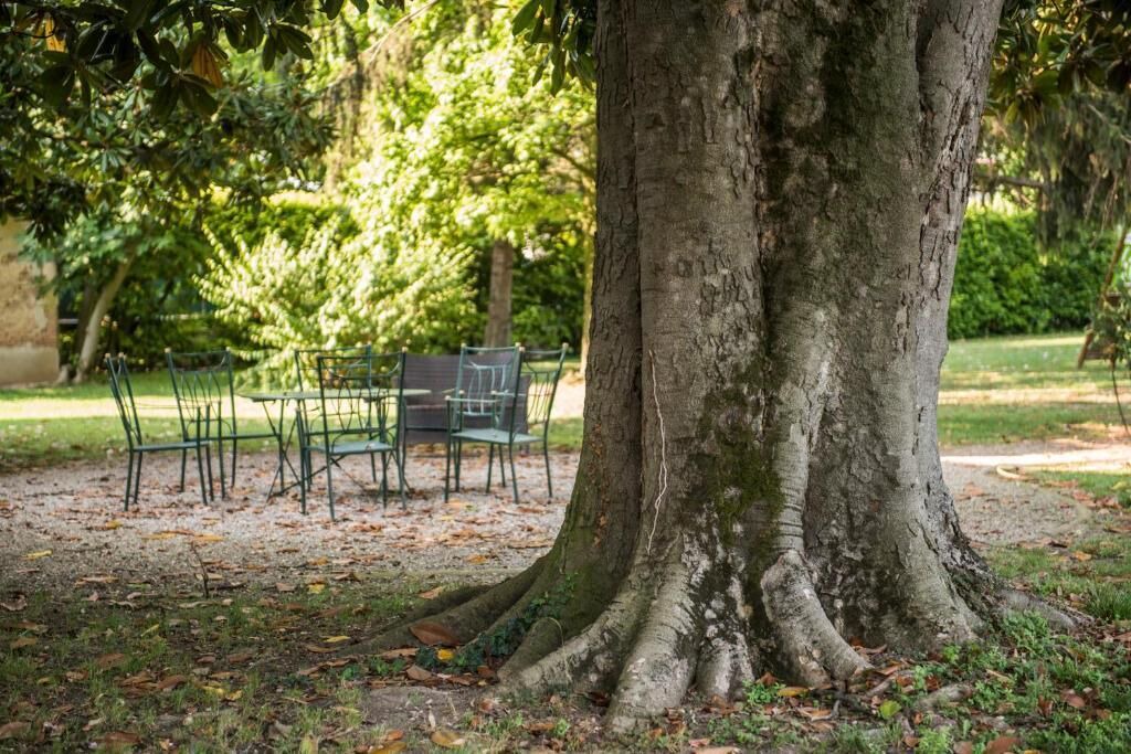 Photo of Outdoor in Nogarole Rocca