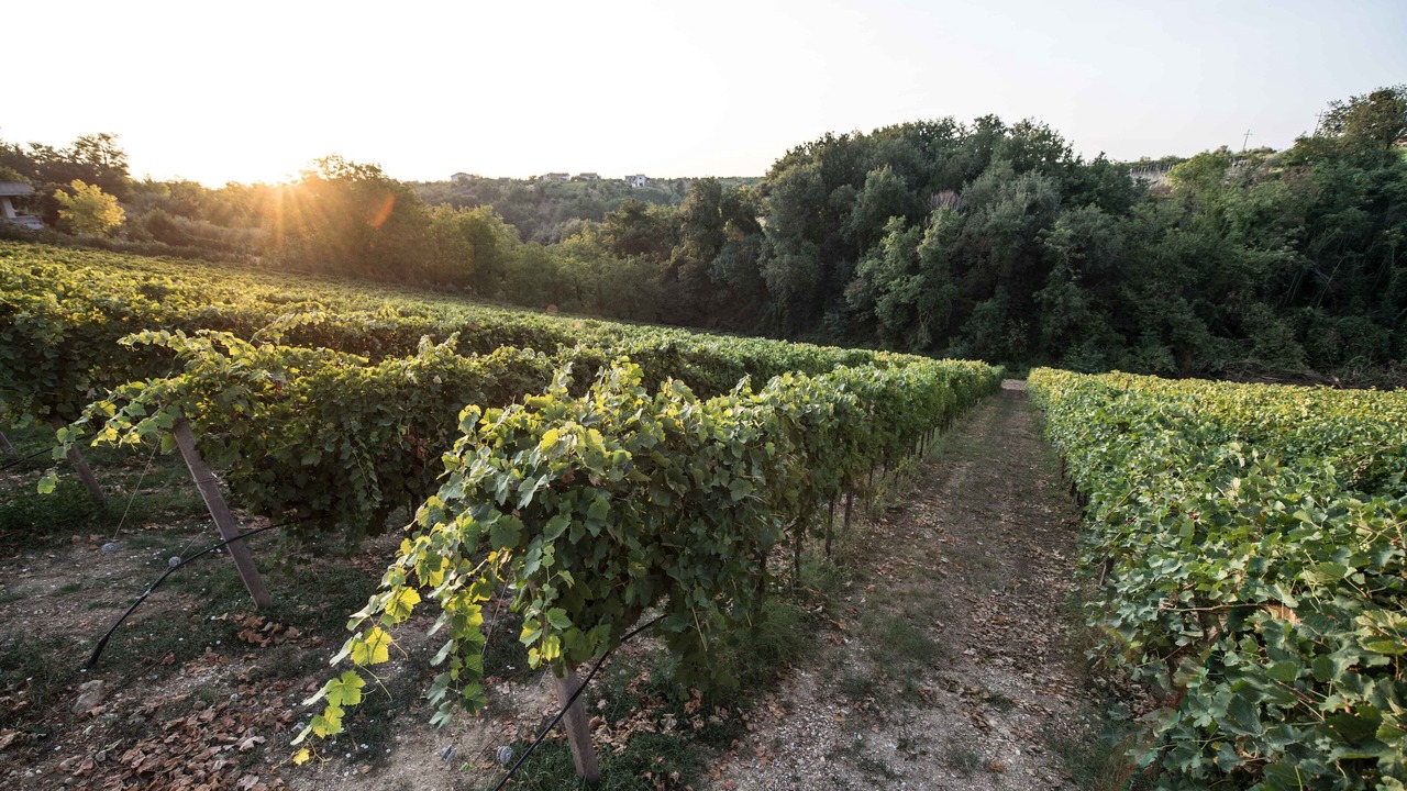 Photo of Outdoor in Crecchio