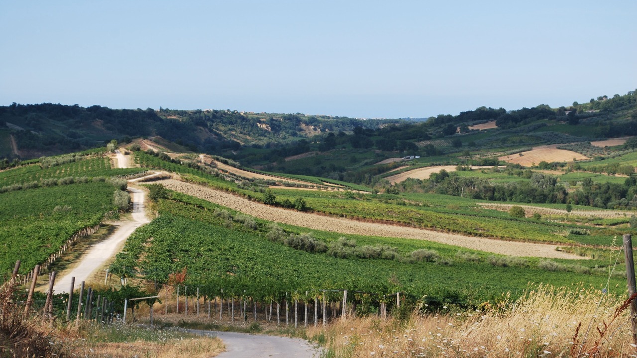Photo of Outdoor in Crecchio